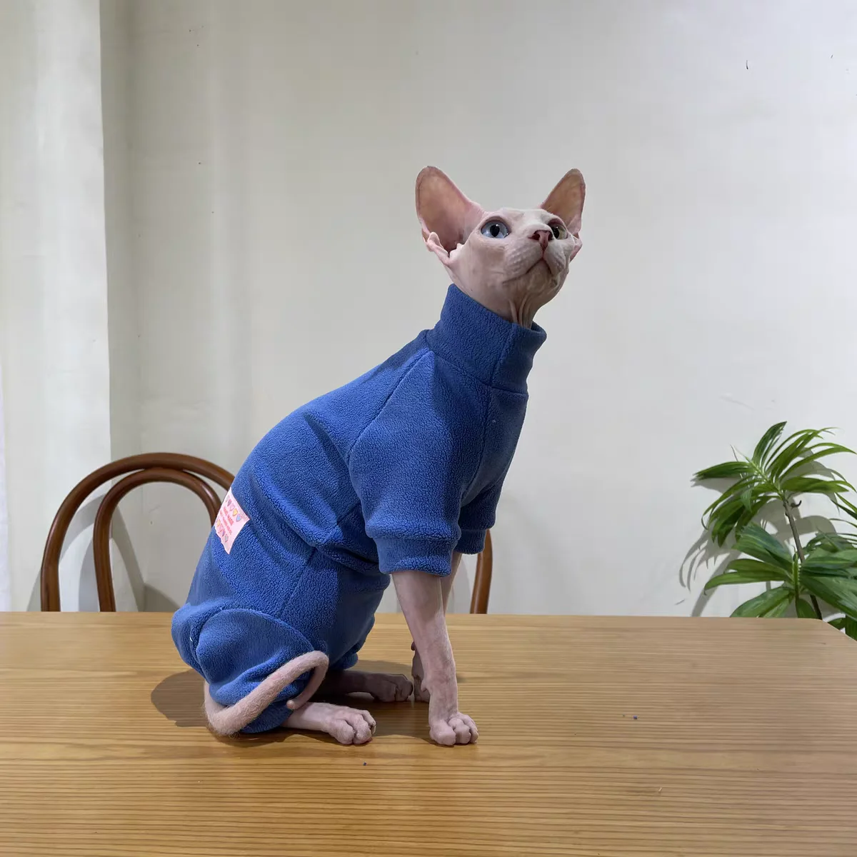 Fleece Coat for Sphynx Cat Warm Sweatshirt 4-legged Jumpsuit for Kittens Dogs Soft Loungewear for Male Cat Devon Rex Sweater