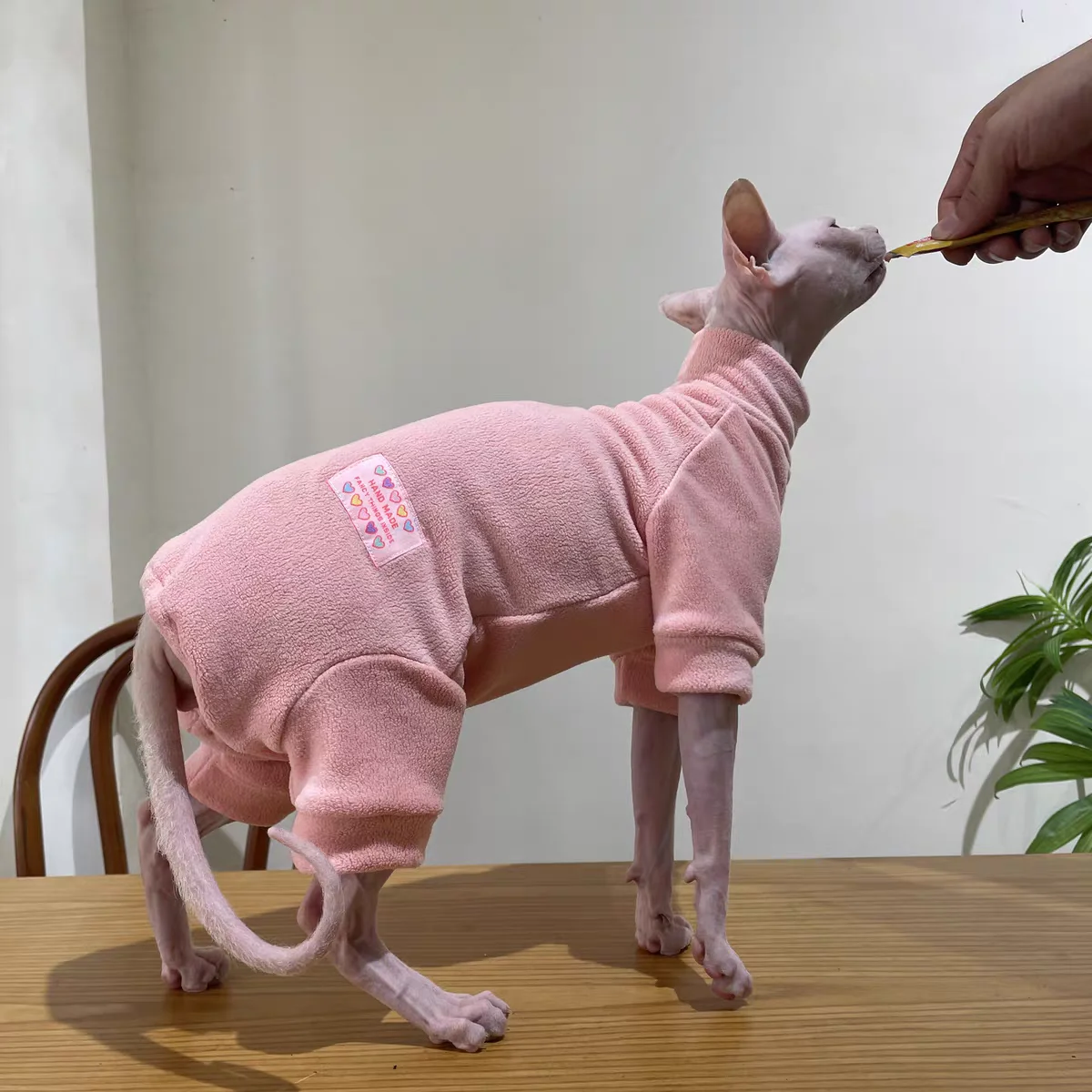 Fleece Coat for Sphynx Cat Warm Sweatshirt 4-legged Jumpsuit for Kittens Dogs Soft Loungewear for Male Cat Devon Rex Sweater
