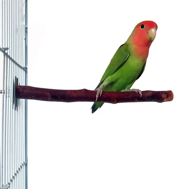 Natural Wood Pet Parrot Raw Wood Fork Tree Branch Stand Rack Squirrel Bird Hamster Branch Perches Chew Bite Toys Stick