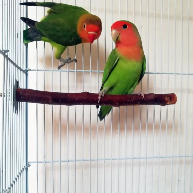 Natural Wood Pet Parrot Raw Wood Fork Tree Branch Stand Rack Squirrel Bird Hamster Branch Perches Chew Bite Toys Stick