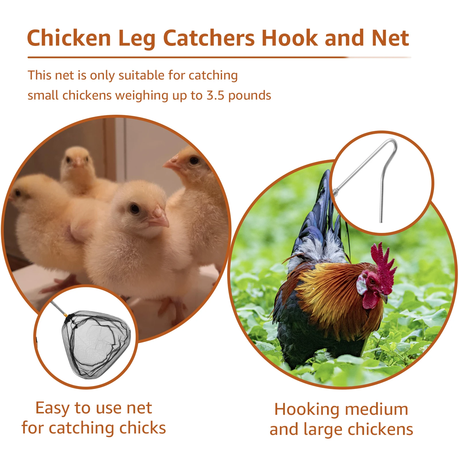 4Pcs Poultry Catcher Tools Stainless Steel Telescopic Chicken Grabber Pole & Small Chicken Catching Net Outdoor Bird Catcher