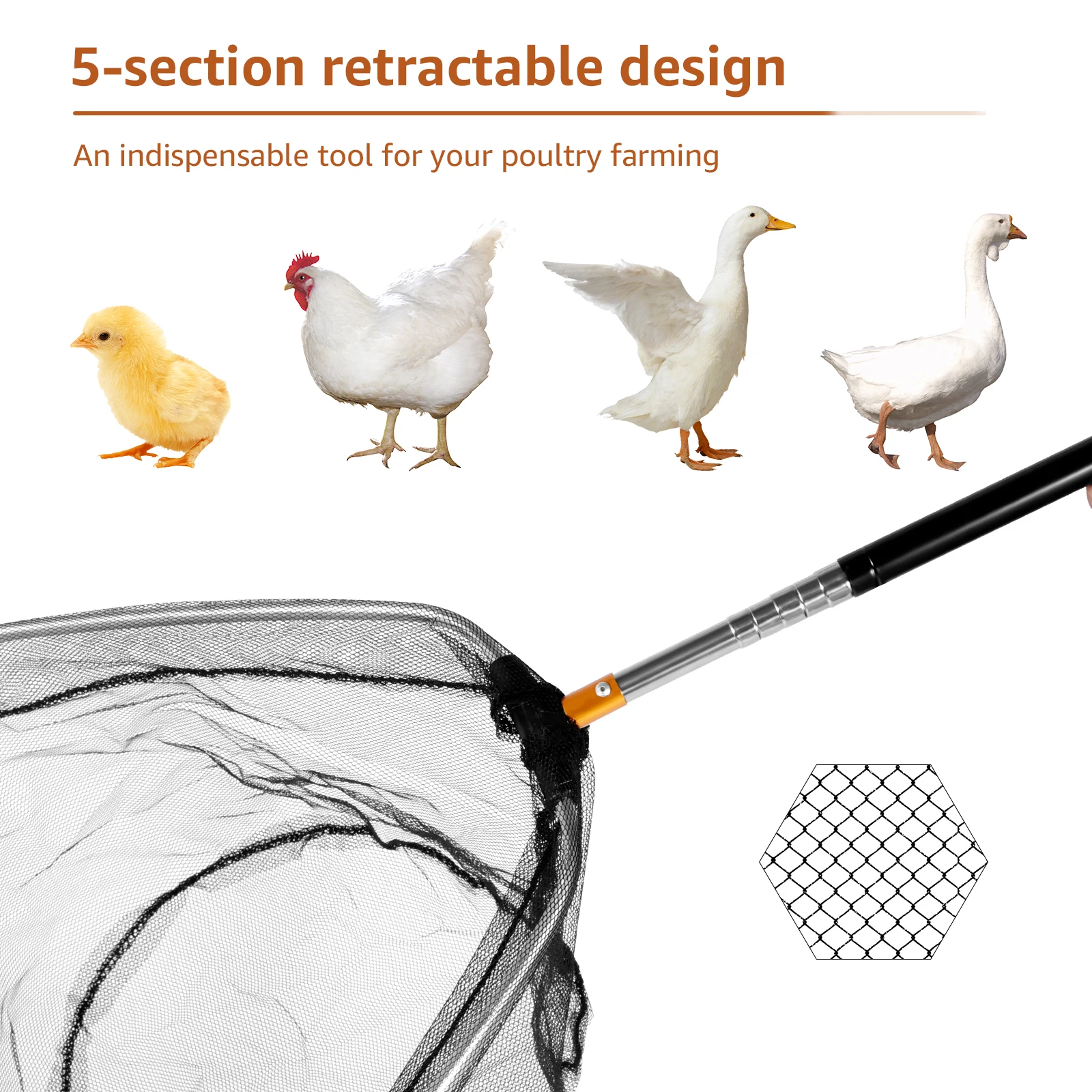 4Pcs Poultry Catcher Tools Stainless Steel Telescopic Chicken Grabber Pole & Small Chicken Catching Net Outdoor Bird Catcher
