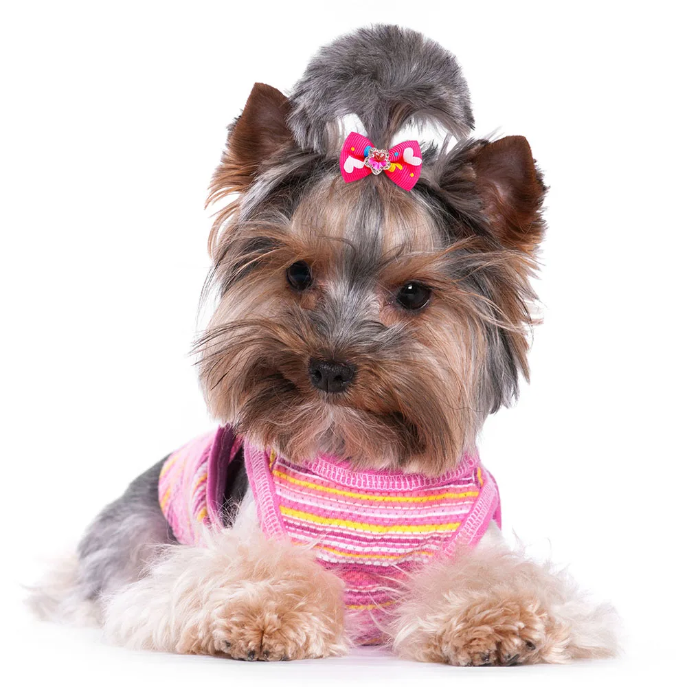 30pcs Dog Hair Bows Rubber Bands Small Dog Cat Bows Handmade For Dogs Pets Hair Accessories Dog Grooming For Small Dogs