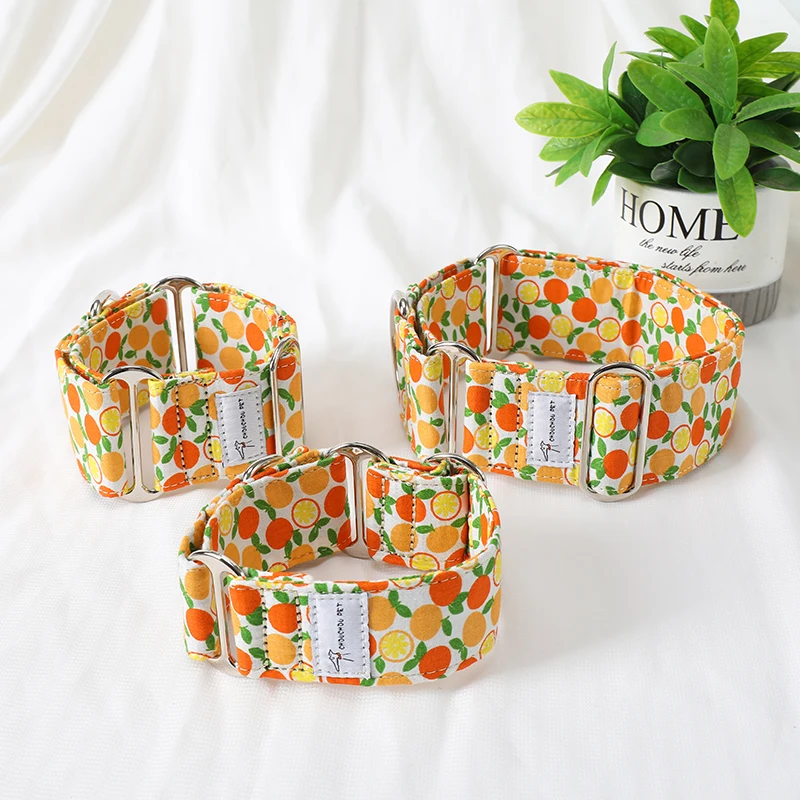 Italian Greyhound Whippet Martingale wide adjustable dog collar patterned cotton collar