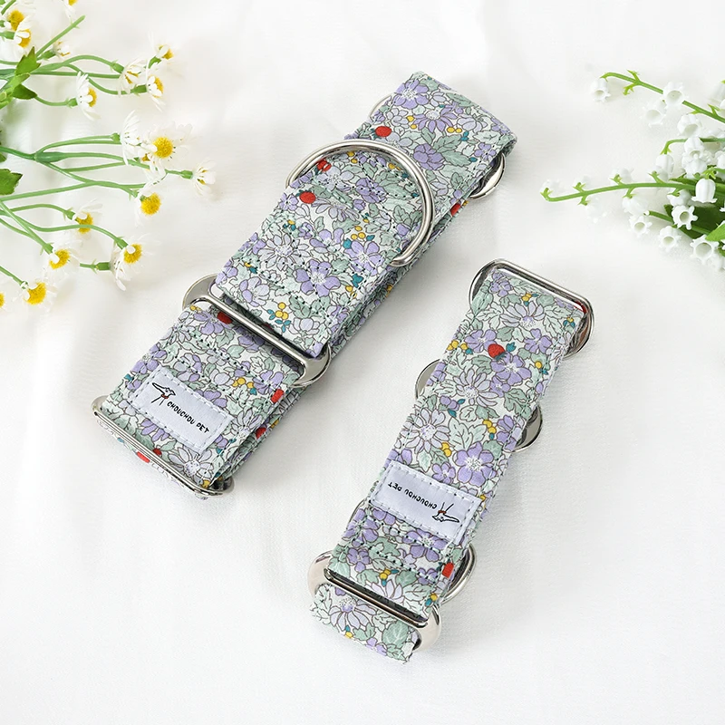 Italian Greyhound Whippet Martingale wide adjustable dog collar patterned cotton collar