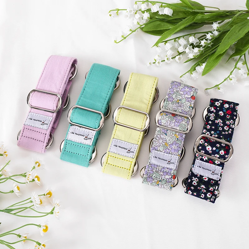 Italian Greyhound Whippet Martingale wide adjustable dog collar patterned cotton collar