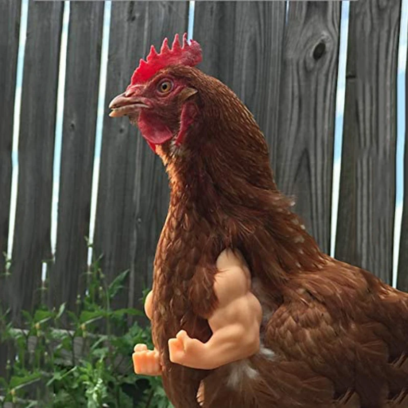 Chicken Arm Decoration Chicken Forelimb Decor Dinosaur Spoof Pet Props Chicken Arm Hulk Arms Chicken Themed Party Funny Decor