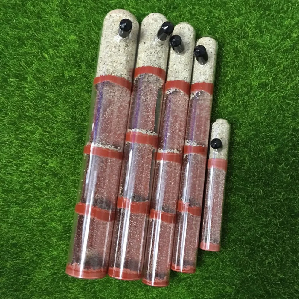Various Sizes Ant Farm House Bamboo Test Tube Ant Nest Plaster Tube for Ant House Gypsum Pet Anthill Workshop Villa Queen Home