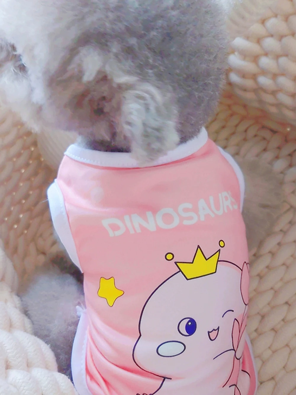 Summer Cat Puppy Clothes Cartoon Print Pet Sleeveless Vest for Small Dogs Cats Kitten Sphynx Clothing Ropa Para Gato