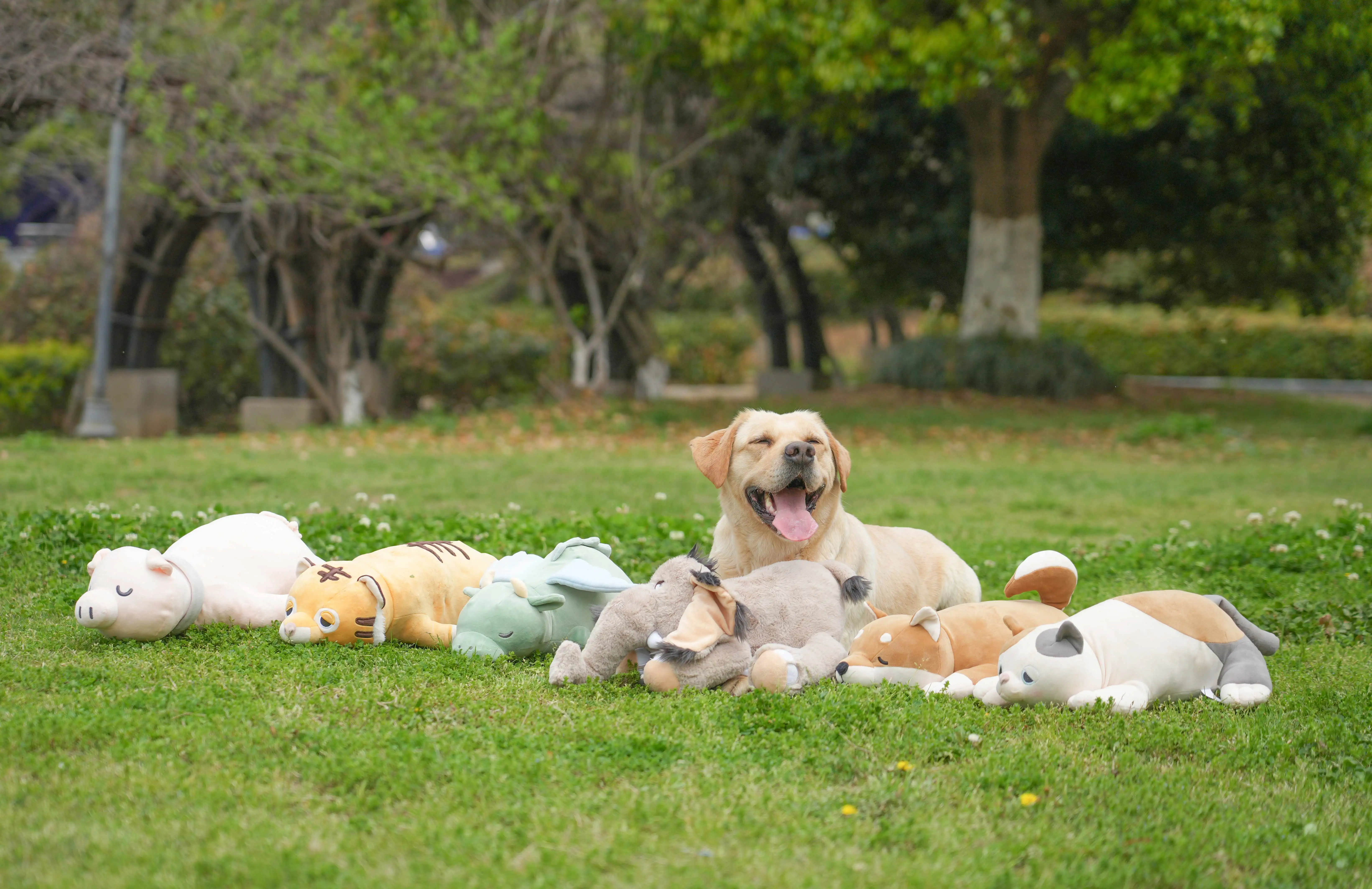 PETFULED Gem Flying Dragon Dog Heartbeat Toy, Puppy Separation Stress Toy, Puppy Behavioral Training Aid for Dog Sleep Aid Plush