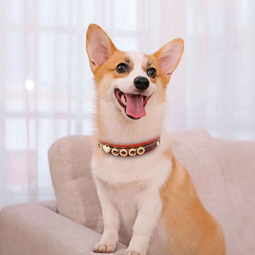 Personalized Small Dogs Chihuahua Collar Bling Rhinestone Dog Collars Free Custom Pet Dogs Cats Name Charms Pet Accessories
