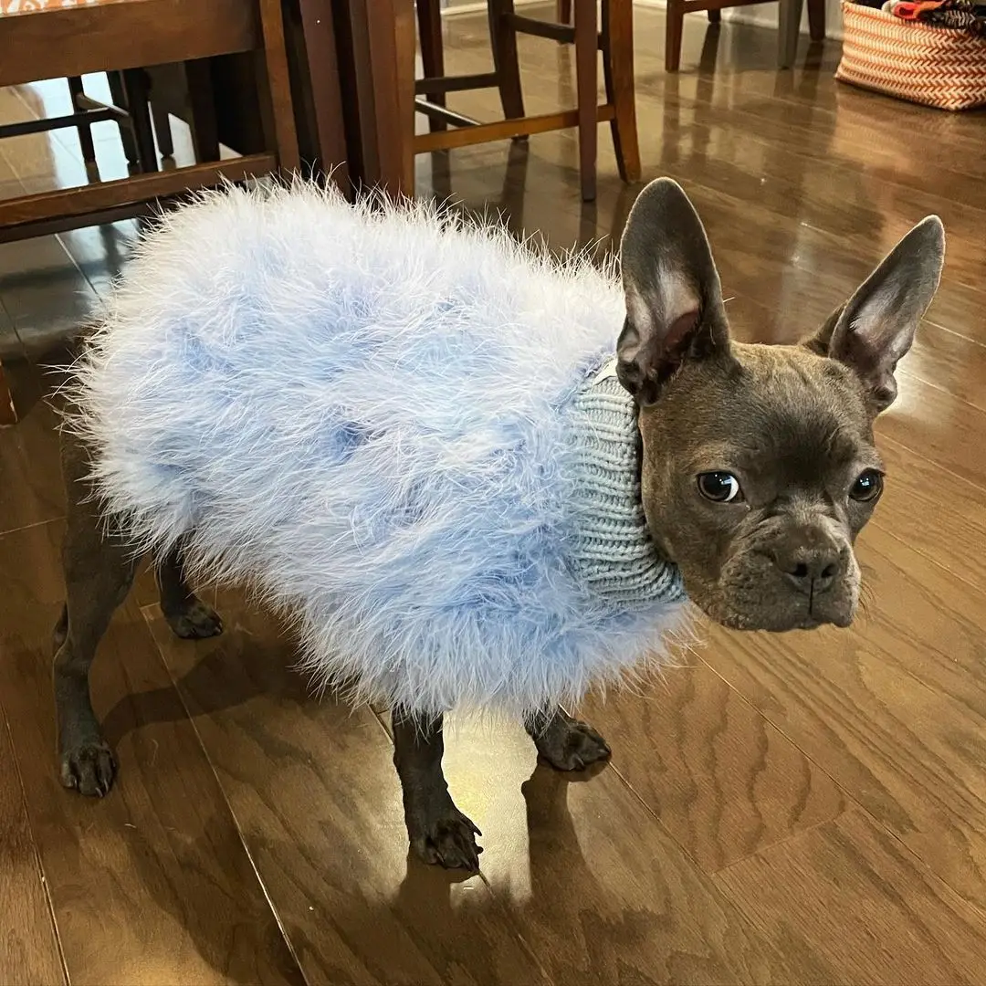 INS new European and American ladies turkey hair autumn and winter warm dog sweater pet warm party pet sweater