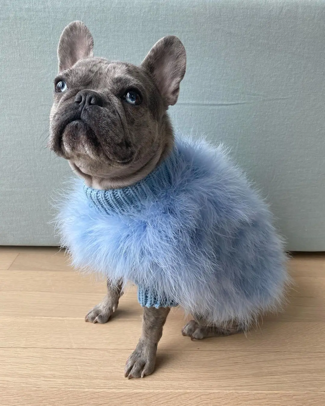 INS new European and American ladies turkey hair autumn and winter warm dog sweater pet warm party pet sweater