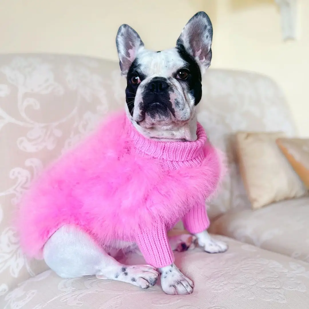 INS new European and American ladies turkey hair autumn and winter warm dog sweater pet warm party pet sweater