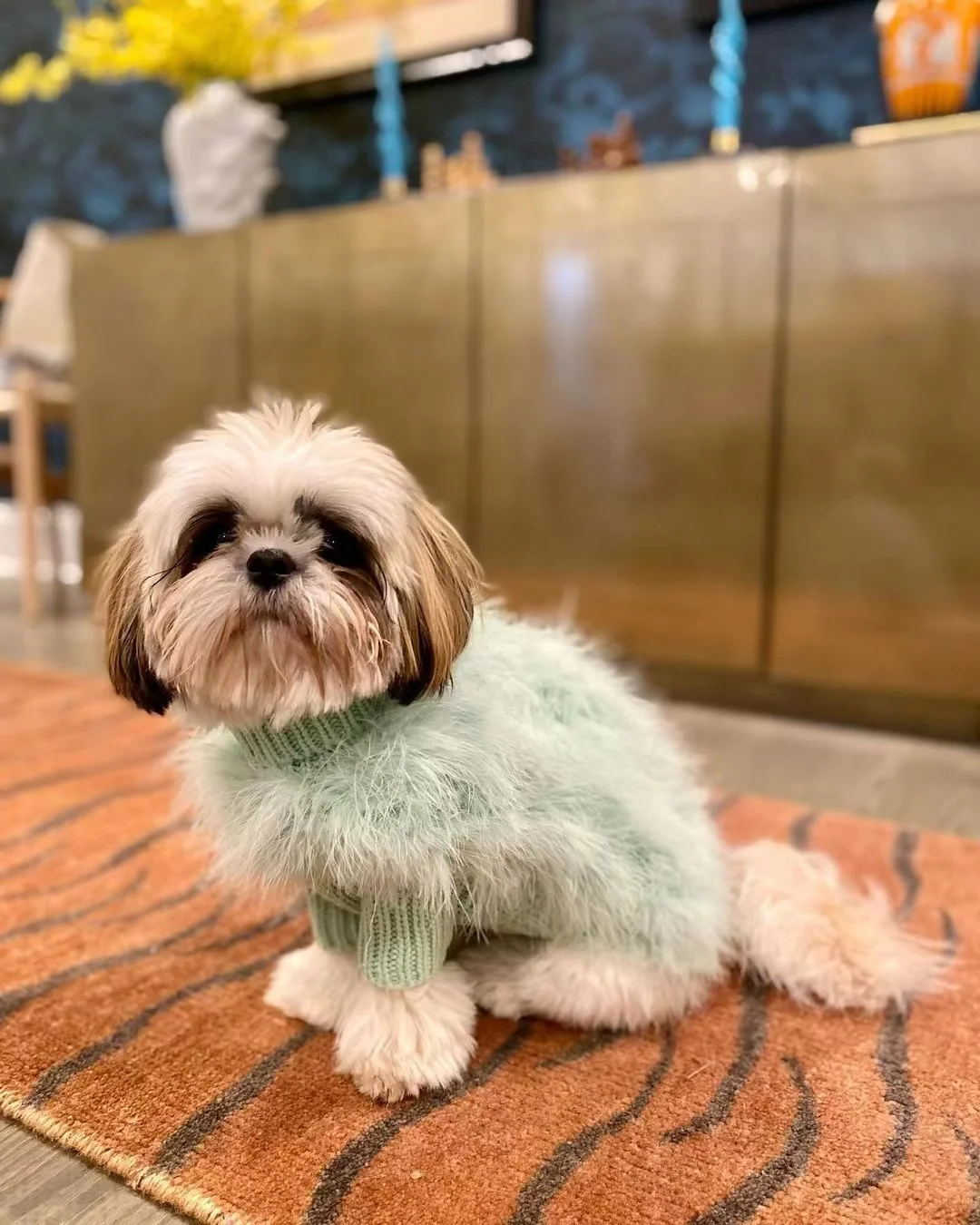 INS new European and American ladies turkey hair autumn and winter warm dog sweater pet warm party pet sweater