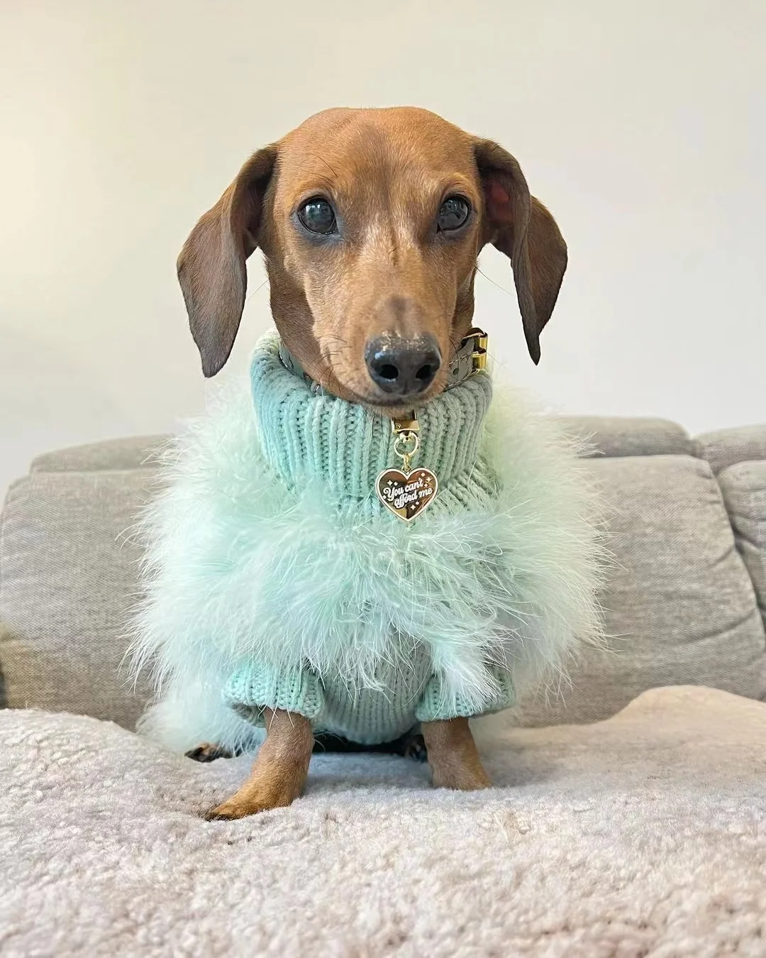 INS new European and American ladies turkey hair autumn and winter warm dog sweater pet warm party pet sweater