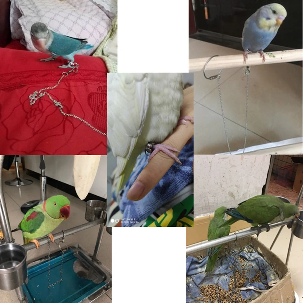 Bird Parrot Foot Chain Stainless Steel Ankle Foot Ring Stand Chain Outdoor Flying Training Starling Pigeon Bird Accessories