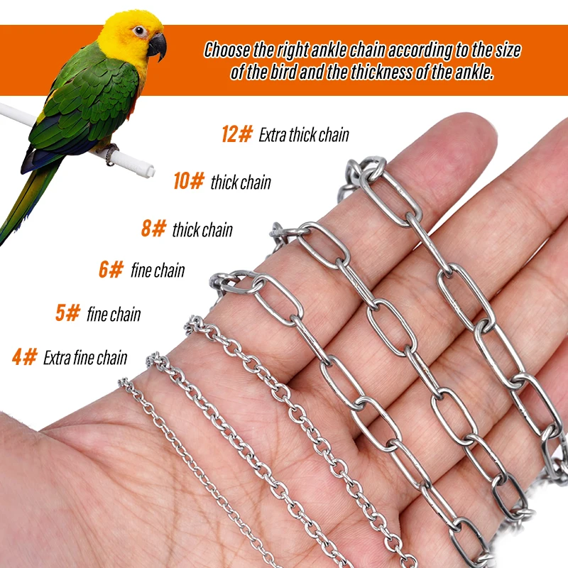 Bird Parrot Foot Chain Stainless Steel Ankle Foot Ring Stand Chain Outdoor Flying Training Starling Pigeon Bird Accessories
