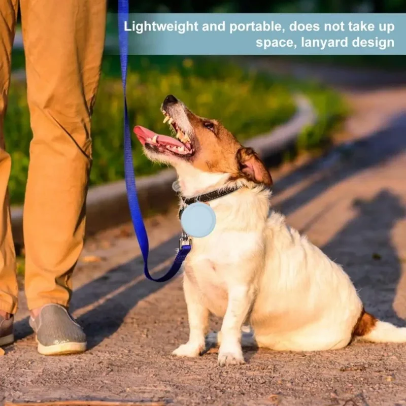 Dog Treat Training Pouch, Portable Silicone Dog Food Treat Pouch with Lanyard and Hook for Outdoor Walking Supply Storage Bag