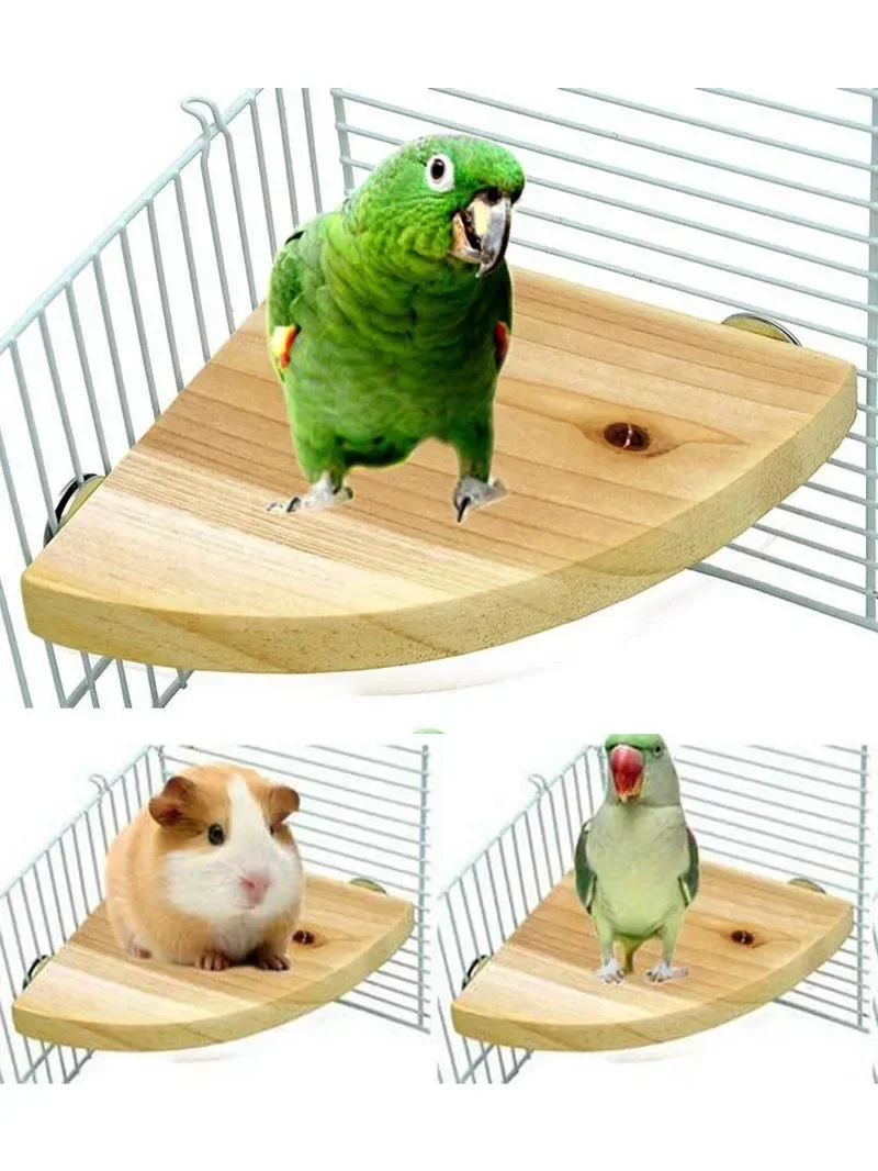 Fan-shaped Bird Parrot Wooden Stand Rack Bird Cage Accessories Perch for Small Animal Chinchilla Squirrel Hamster Stand Board