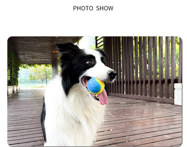 Dog Interactive Ball Soft TPR Toy for Dog Interactive Training Dog Ball Pet Teeth Cleaning Bite Resistance Ball Toy Random Color