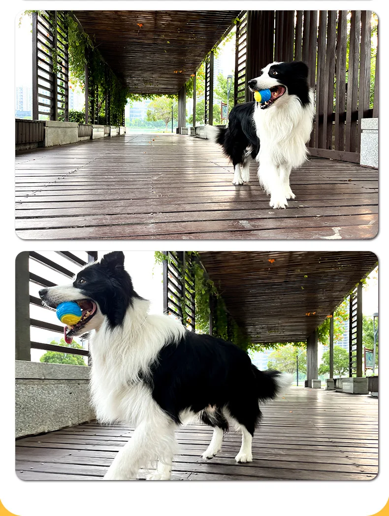 Dog Interactive Ball Soft TPR Toy for Dog Interactive Training Dog Ball Pet Teeth Cleaning Bite Resistance Ball Toy Random Color