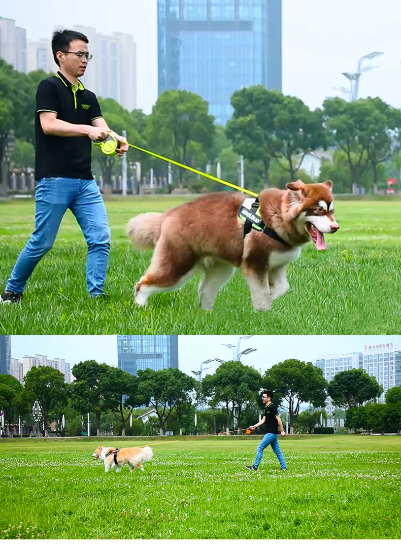5M Luxury Pet Dog Leashes Retractable Dog Leash For Large Medium Dogs Cat Puppies Accessories Small Automatic Extension Lanyard
