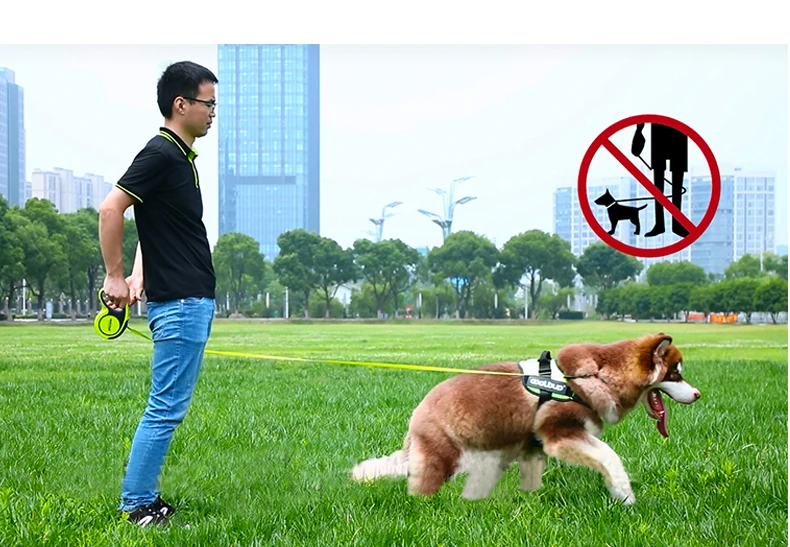 5M Luxury Pet Dog Leashes Retractable Dog Leash For Large Medium Dogs Cat Puppies Accessories Small Automatic Extension Lanyard