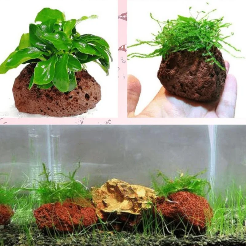 Volcanic Aquarium Decoration Fish Tank Plant Fixing Pot Polka Water Plants Potted Planting Cup Aquarium Accessories Filter Black