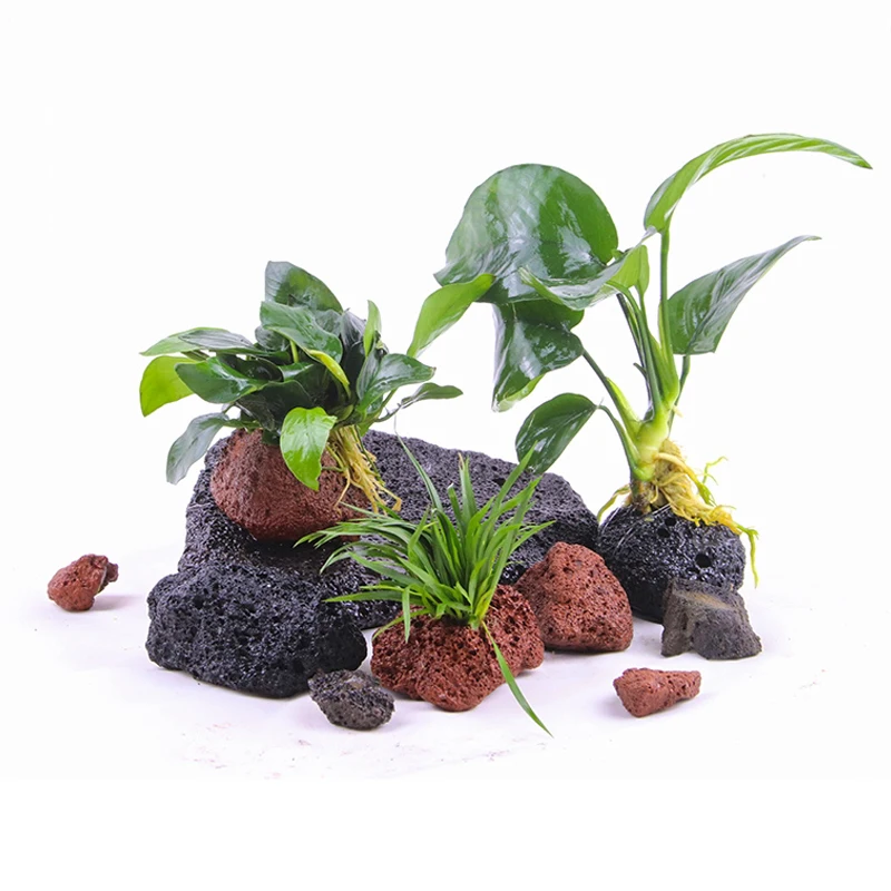 Volcanic Aquarium Decoration Fish Tank Plant Fixing Pot Polka Water Plants Potted Planting Cup Aquarium Accessories Filter Black