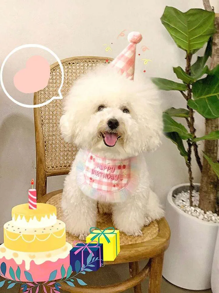 Pet Birthday Bib and Party Hat Cat Puppy Lace Saliva Towel Mini Doggy Bandana Scarf Dog Birthday Dress Up Supplies