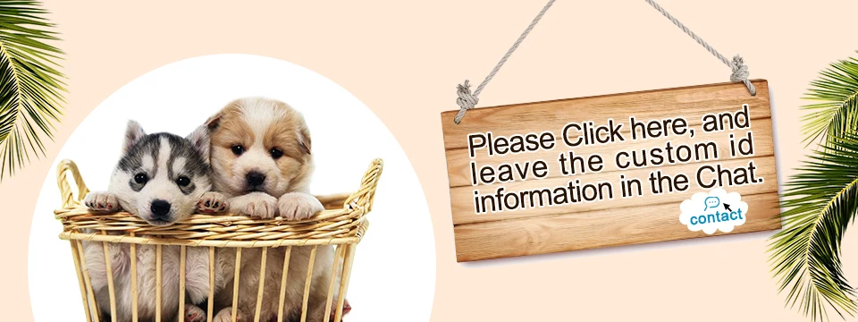 Nameplate Engraved Id Tag Dog Cat Collar Stainless Personalized Silicone Customize Anti-lost Accessory