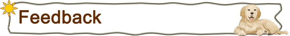 Nameplate Engraved Id Tag Dog Cat Collar Stainless Personalized Silicone Customize Anti-lost Accessory