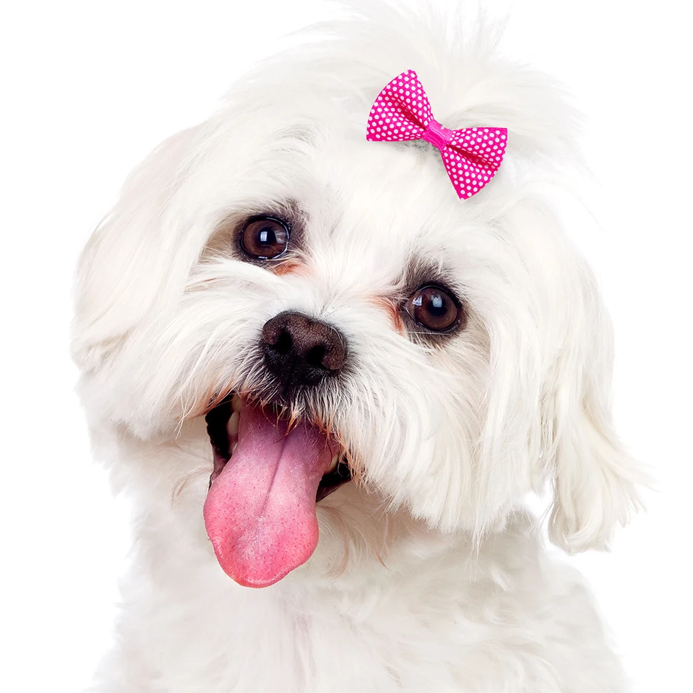 30PCS Small Dog Bows Pet Dog Hair Accessories Rubber Bands Small Dog Cat Hair Bows For Dogs Cats Grooming Products