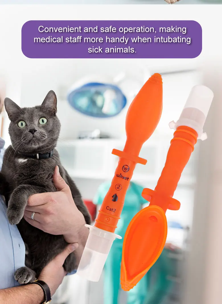 Tierarzt Cat Blind Intubation Tube Dog Blind Intubation Tube Rabbit Supraglottic Airway ET Tube Medical Soft Gel Set