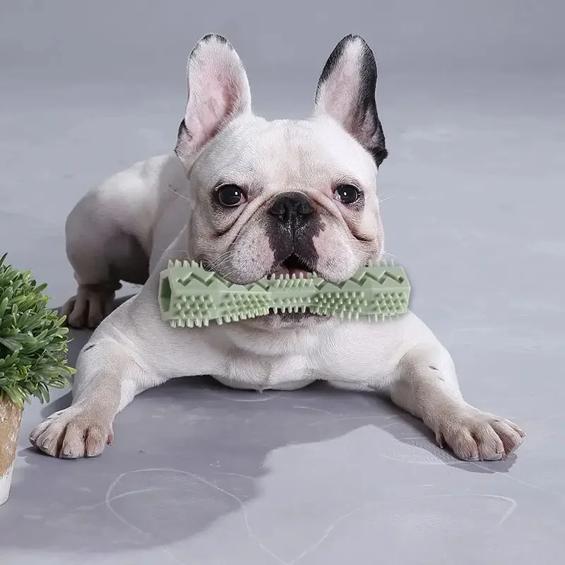 Resistant Bite Resistant Pet Toy Toothbrush Bone Sturdy Dog Toy Interactive Puppy Game Toy Dog Bone Rubber Puppy Chew Toy Dog