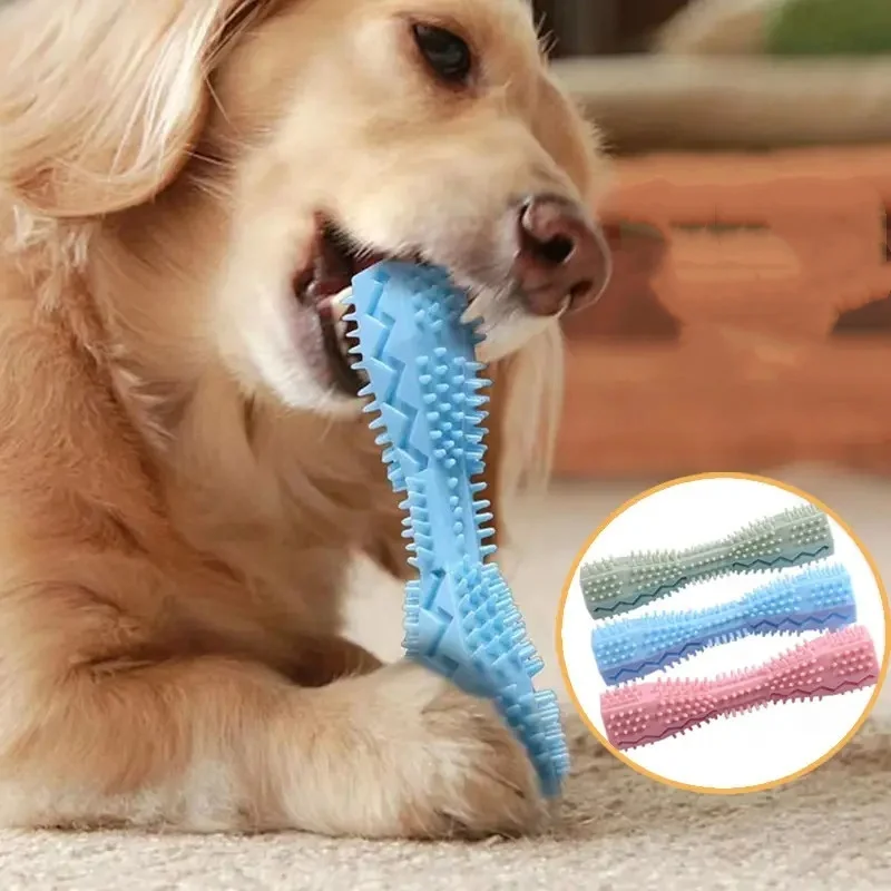 Resistant Bite Resistant Pet Toy Toothbrush Bone Sturdy Dog Toy Interactive Puppy Game Toy Dog Bone Rubber Puppy Chew Toy Dog