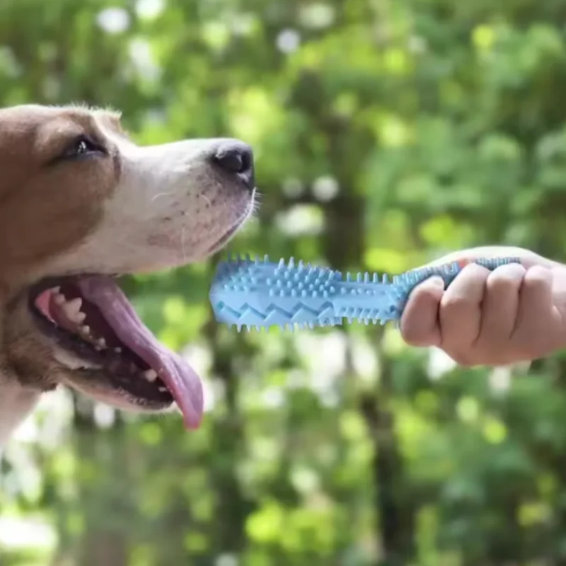 Resistant Bite Resistant Pet Toy Toothbrush Bone Sturdy Dog Toy Interactive Puppy Game Toy Dog Bone Rubber Puppy Chew Toy Dog