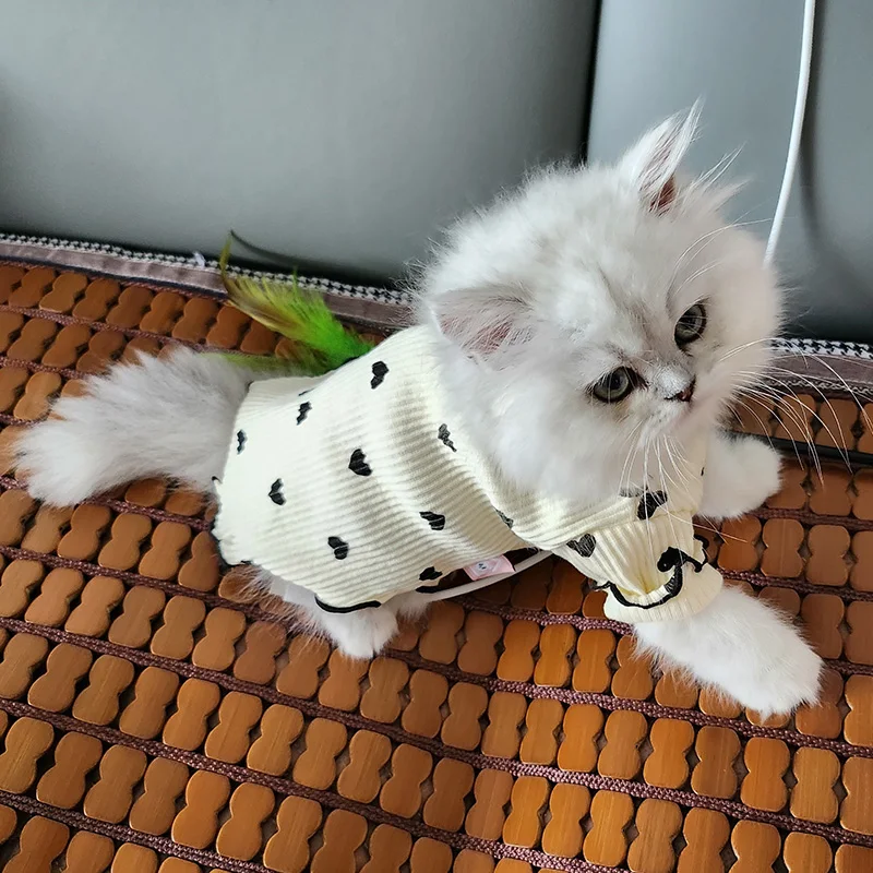 Cozy Cotton Sphynx Cat Clothes for Cats Gotas Spring Autumn Pet Sweater Garfield Shirts Mascotas Outfits Clothing Katten Kleding
