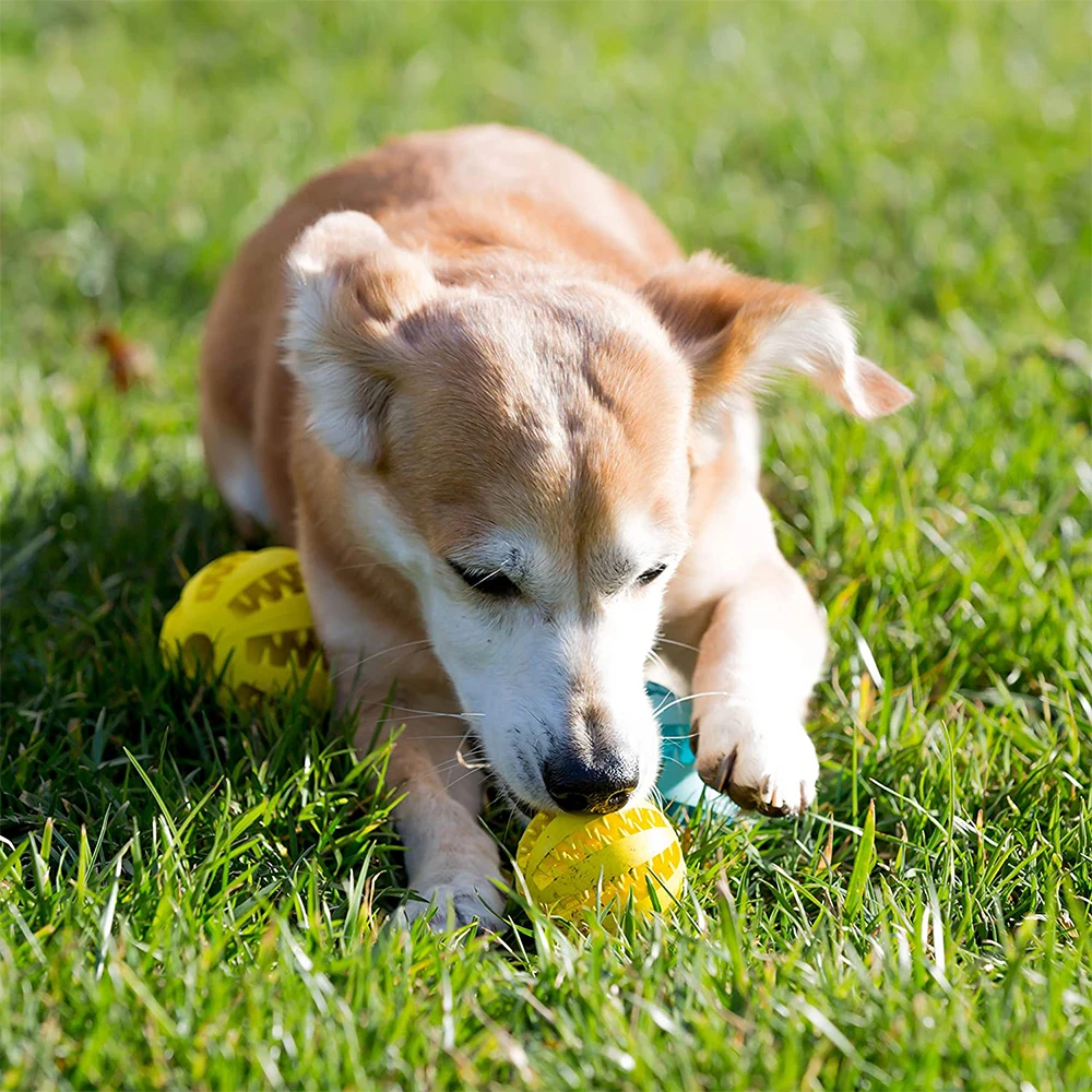 New Pet Dog Toy Interactive Rubber Balls for Small Large Dogs Puppy Cat Chewing Toys Pet Tooth Cleaning Indestructible Dog Ball