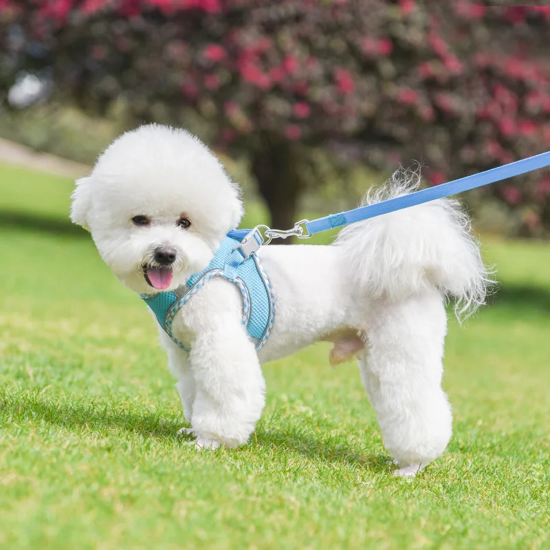 Outdoor Walking Pincher Dog Harness and Leash Set for Small Medium Dogs Chihuahua Mascotas Vest Harnesses Pomerian Accessories
