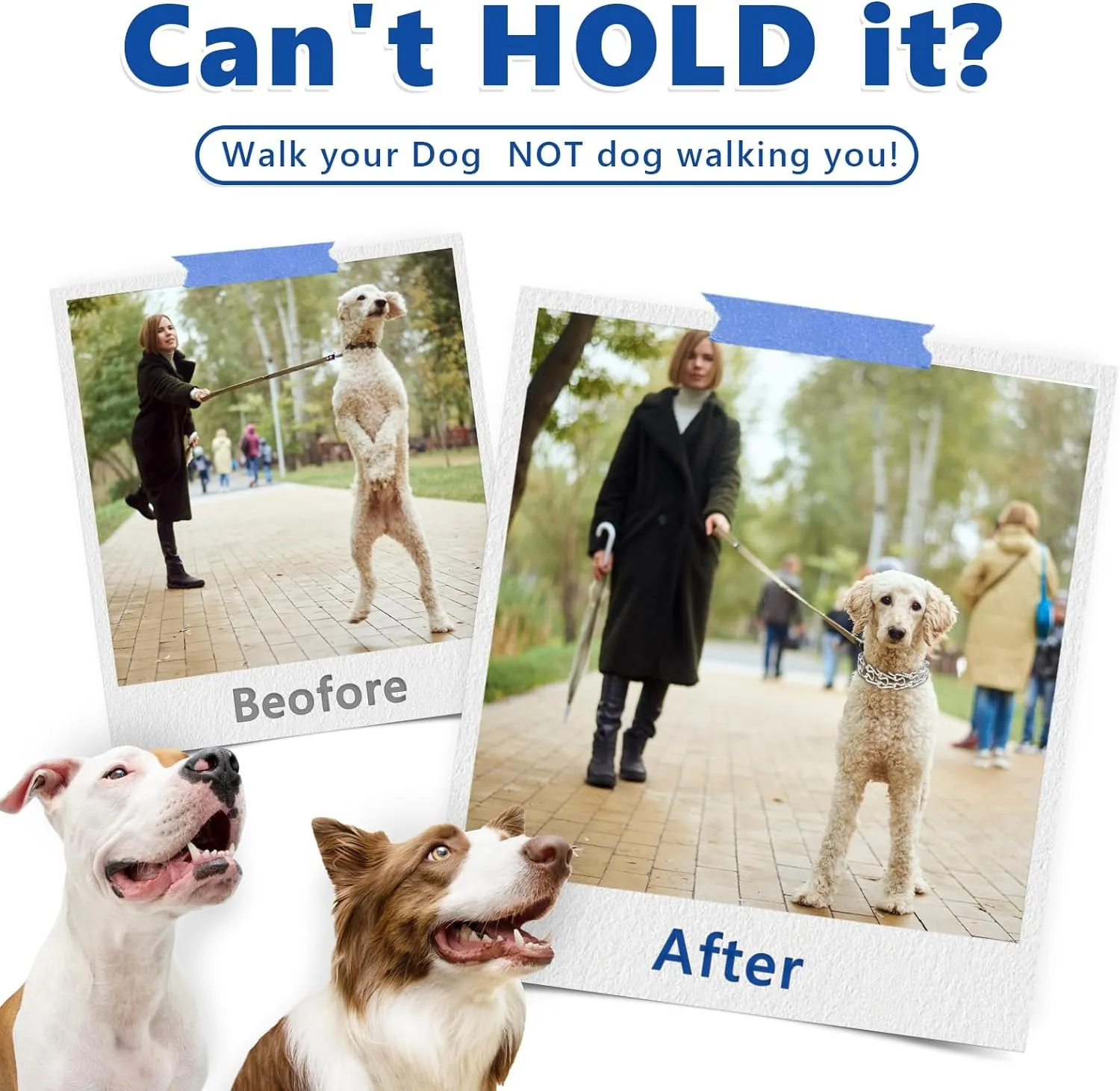 Dog Prong Collar Adjustable Dog Training Pinch Collar with Quick Release Buckle for Small Medium Large Dogs Train Explosion