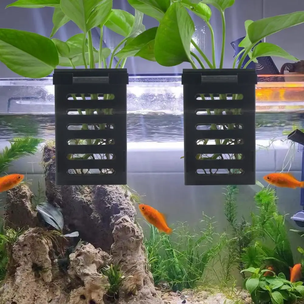 Hydroponic Aquarium Glass Plant Holder Water Landscape Planted Tank Emersed Plants Storage Rack Glass Pot Landscaping Basin