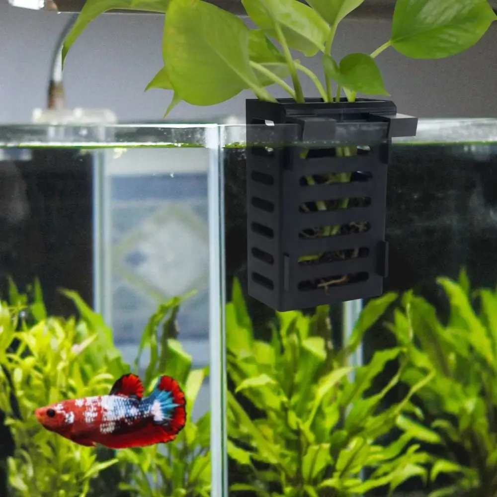 Hydroponic Aquarium Glass Plant Holder Water Landscape Planted Tank Emersed Plants Storage Rack Glass Pot Landscaping Basin