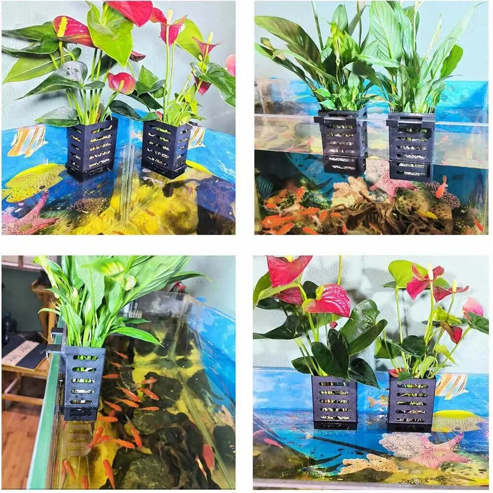 Hydroponic Aquarium Glass Plant Holder Water Landscape Planted Tank Emersed Plants Storage Rack Glass Pot Landscaping Basin