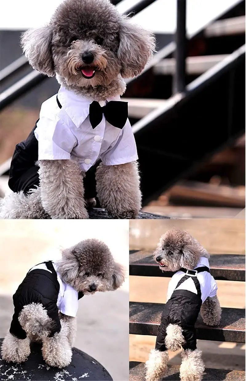 Stylish Dog Tuxedo Suit Prince Wedding Costume White Black Formal Clothes with Bowtie Puppy Jumpsuit for Small Dogs