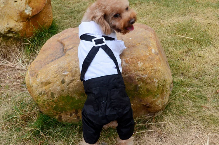 Stylish Dog Tuxedo Suit Prince Wedding Costume White Black Formal Clothes with Bowtie Puppy Jumpsuit for Small Dogs