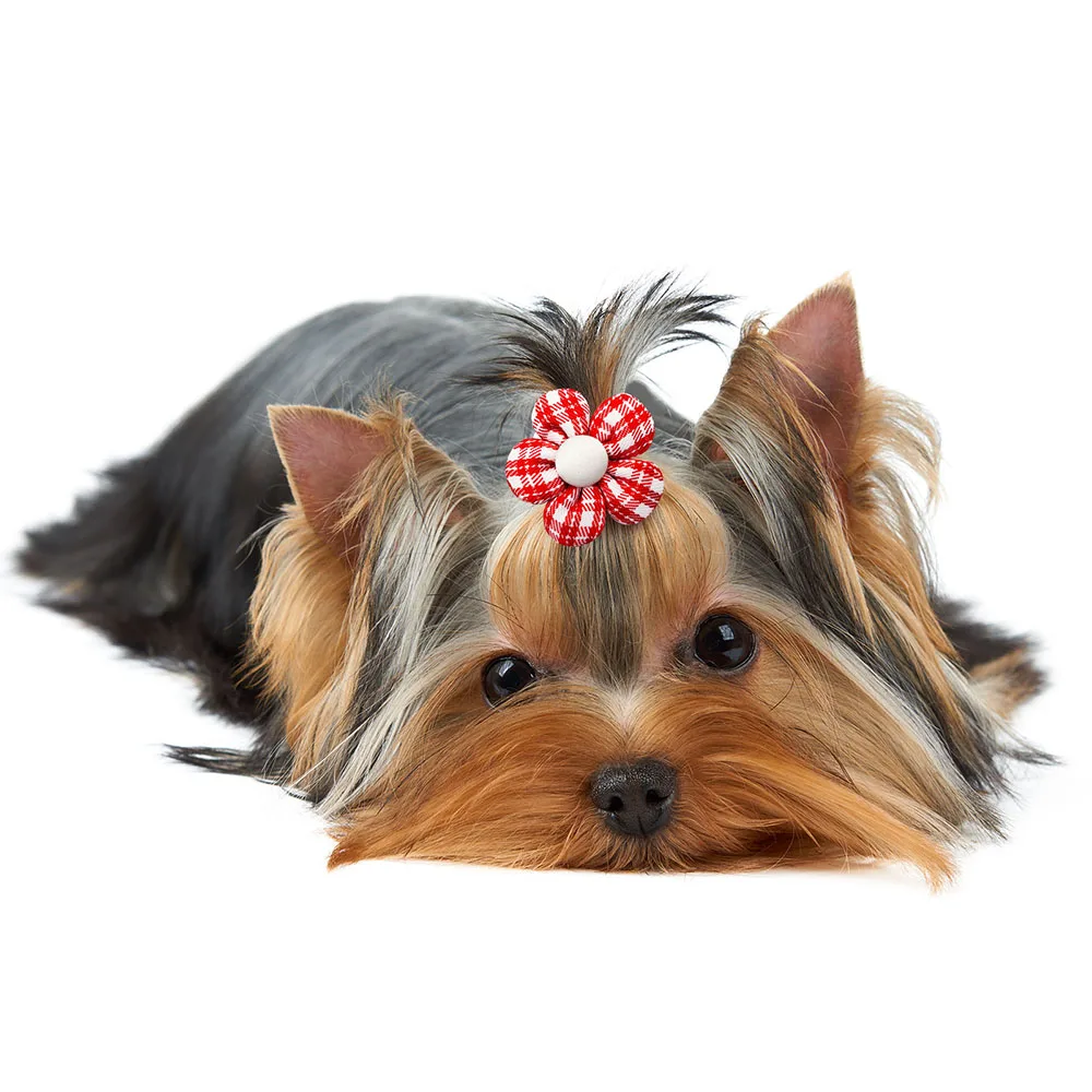 10/20pcs Flower Dog Hair Bows Handmade Dog Bow Plaid Mix Colors Cat Hair Bowknot Rubber Bands for Small Dogs Grooming Supplies