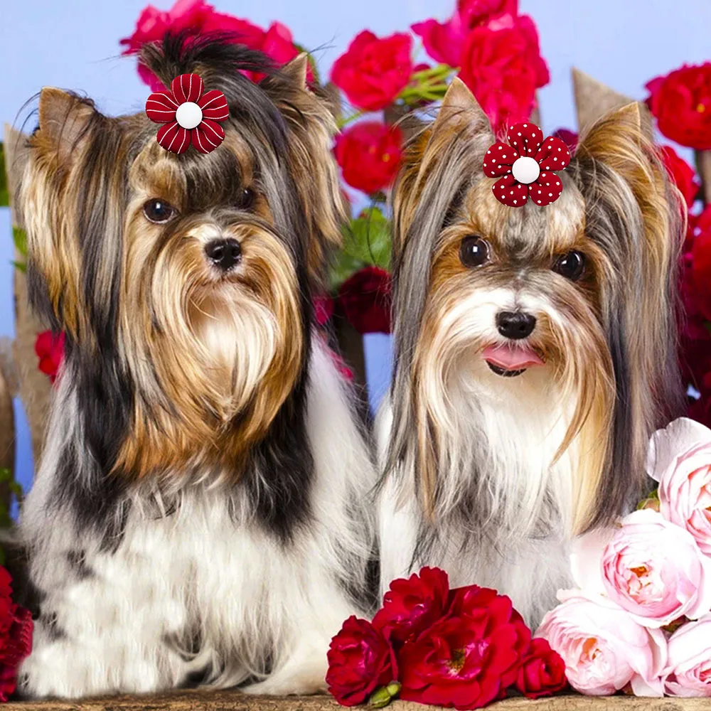 10/20pcs Flower Dog Hair Bows Handmade Dog Bow Plaid Mix Colors Cat Hair Bowknot Rubber Bands for Small Dogs Grooming Supplies