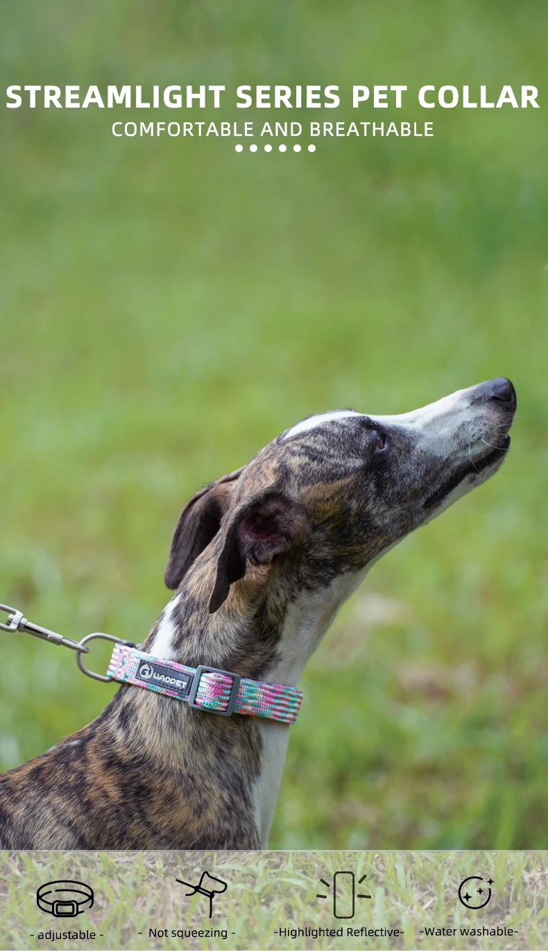 Pet Supplies Dog Collar For Puppy Medium Large Dogs Cute Cat Durable Life Dog Leash Collar German Shepherd Walking Training New